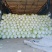 【精品】白菜夏阳白菜货源稳定充足量大从优致电可视频看货