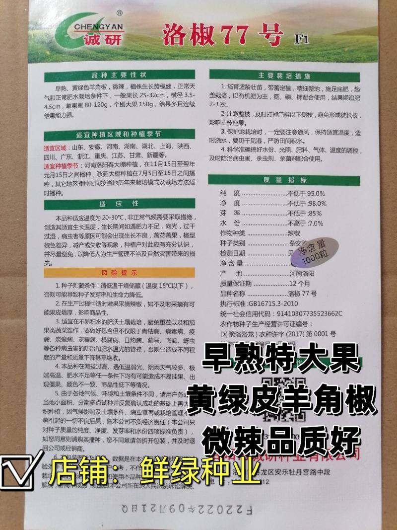 洛椒77号黄皮羊角椒早熟特大果微辣品质好