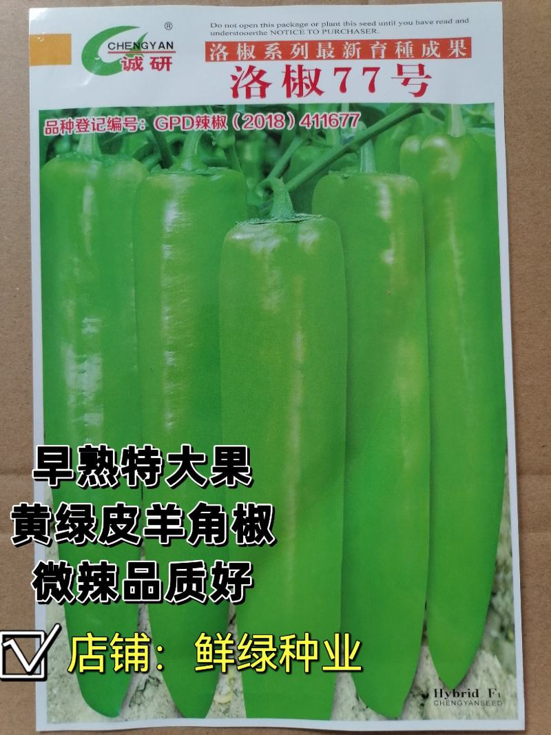 洛椒77号黄皮羊角椒早熟特大果微辣品质好