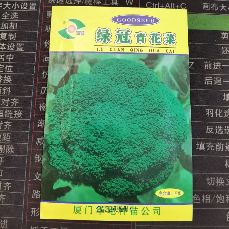 绿冠青花菜西兰花菜花种子秋播耐寒耐湿单球约400克农家