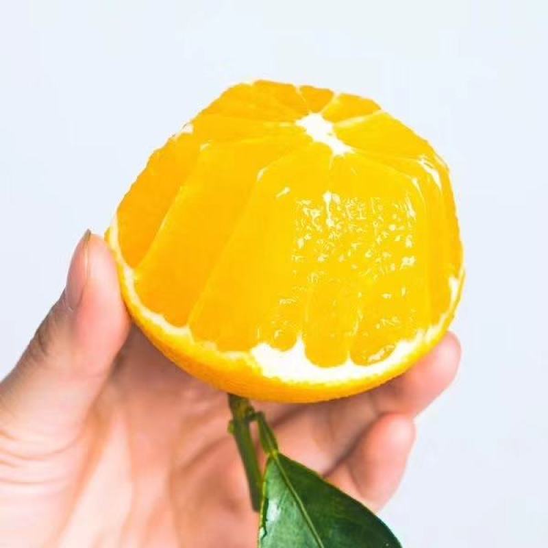 湖南永州橙子爱媛橙大量上市货源充足产地直发价格优惠