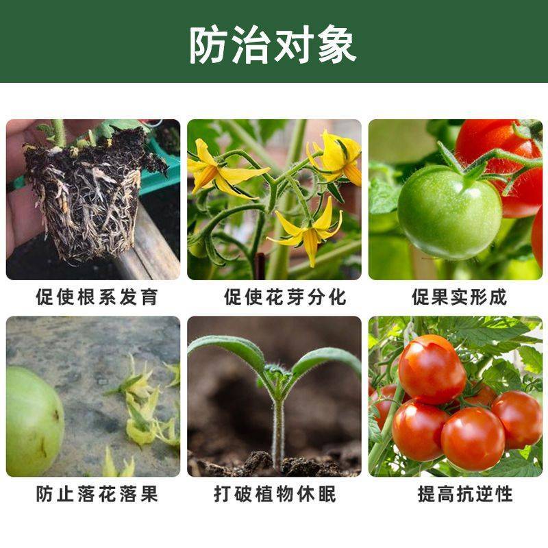 复硝酚钠植物生长调节剂促进生根刺激增产缓解药害