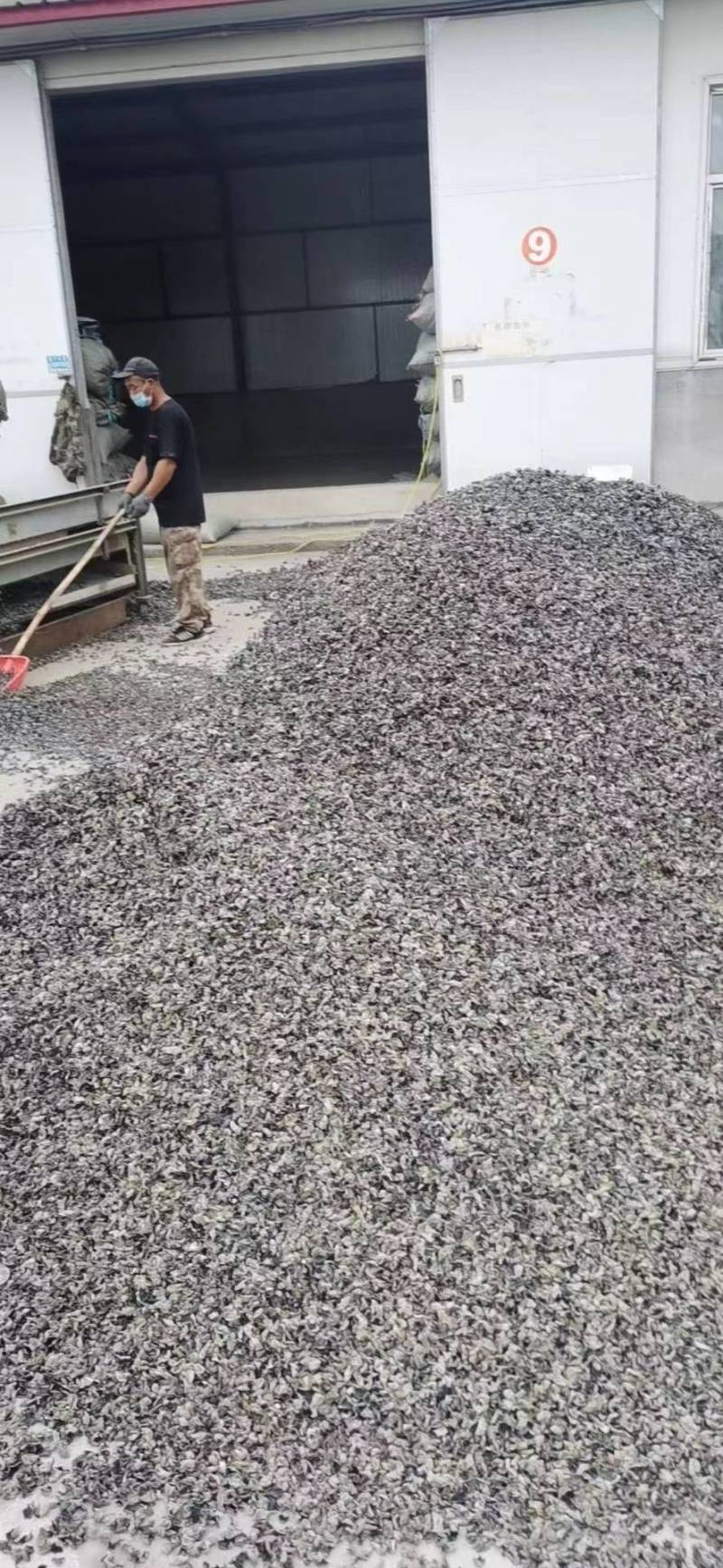 东北黑木耳干货批发秋木耳小碗耳木耳干货支持一件代发全国发