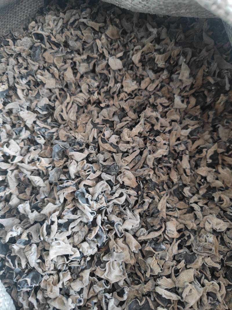 东北黑木耳干货批发秋木耳小碗耳木耳干货支持一件代发全国发