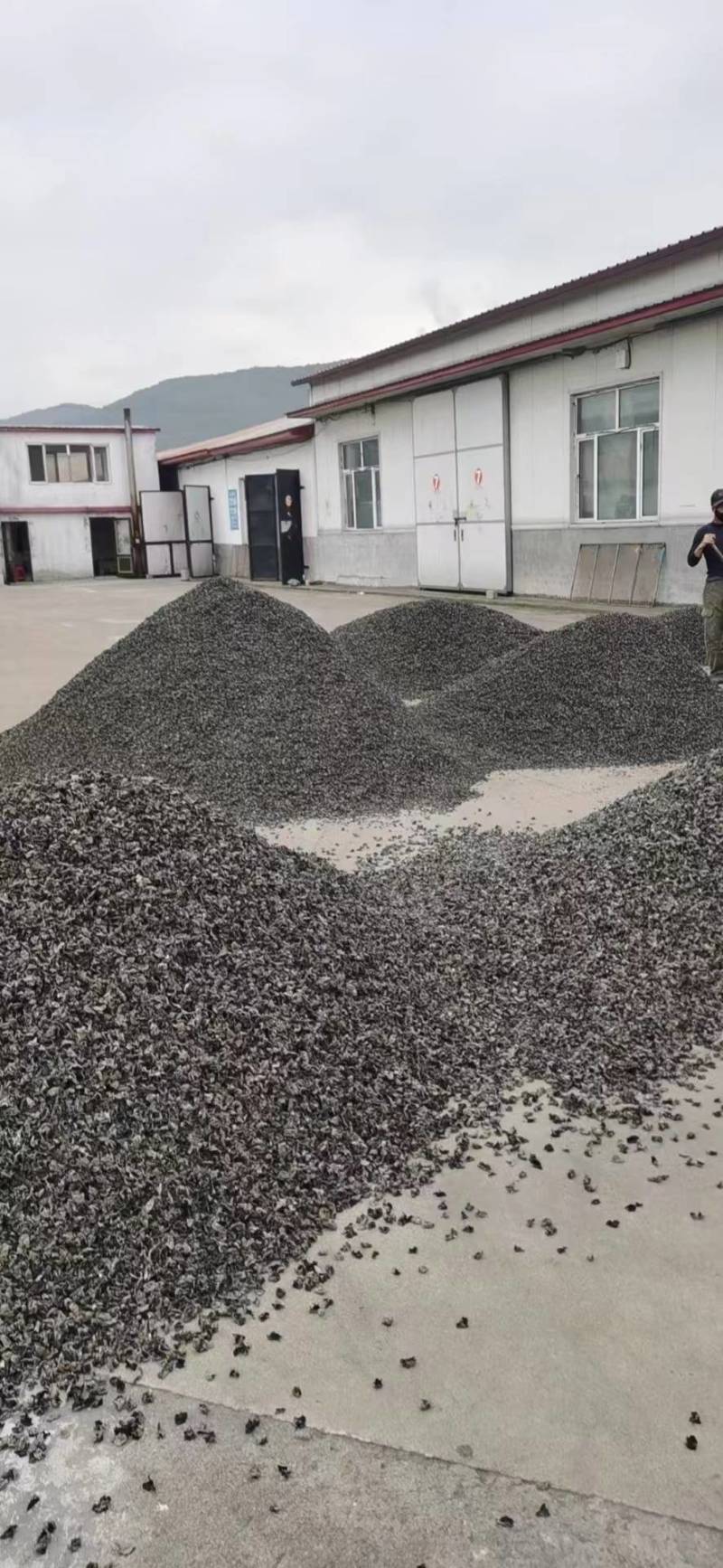 东北黑木耳干货批发秋木耳小碗耳木耳干货支持一件代发全国发
