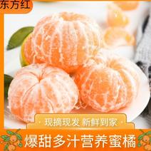 宜昌东方红蜜橘产地直发货源充足价格欢迎咨