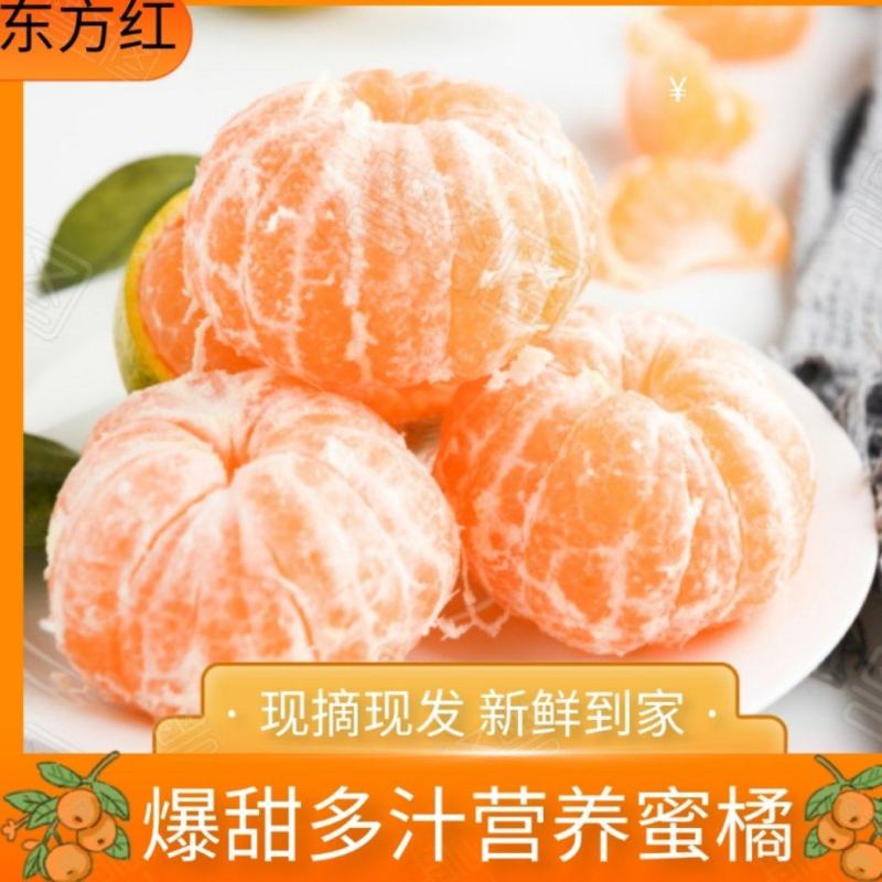 永州柑桔东方红蜜橘产地直发货源充足价格优惠欢迎电话咨