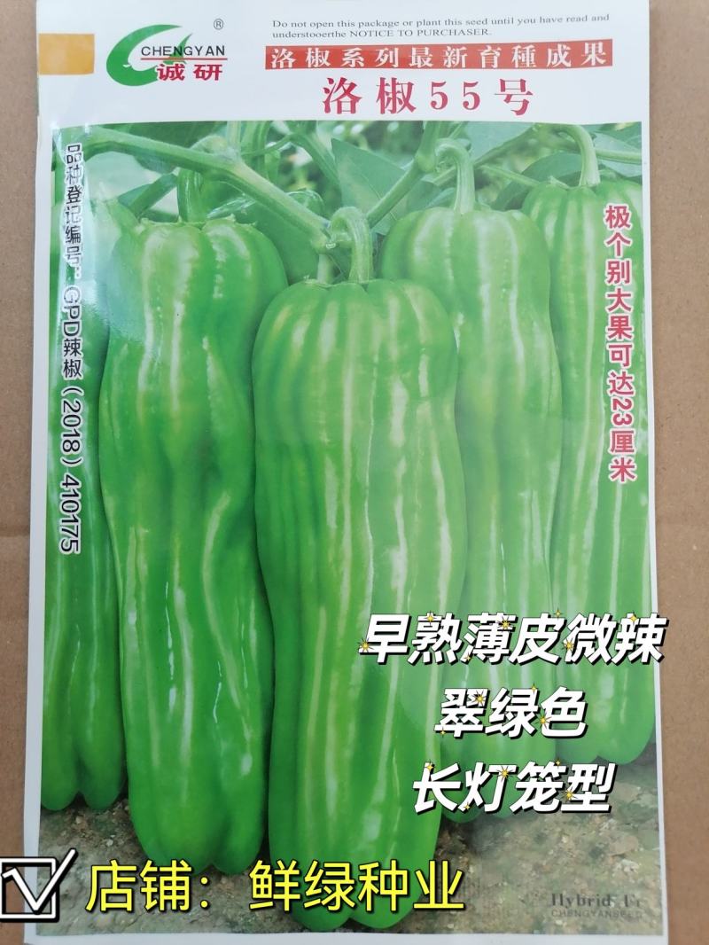 薄皮超大果新品：洛椒55号，较早熟，耐低温，皮薄质嫩。