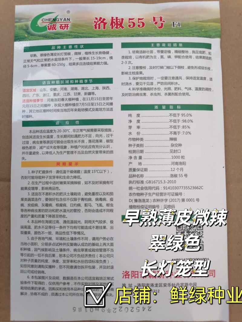 薄皮超大果新品：洛椒55号，较早熟，耐低温，皮薄质嫩。