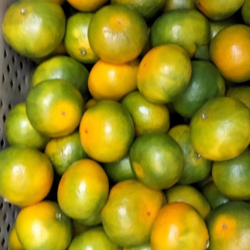 东江湖正在热卖中