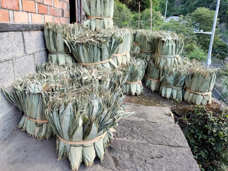 粽叶，新叶叶子非常的好