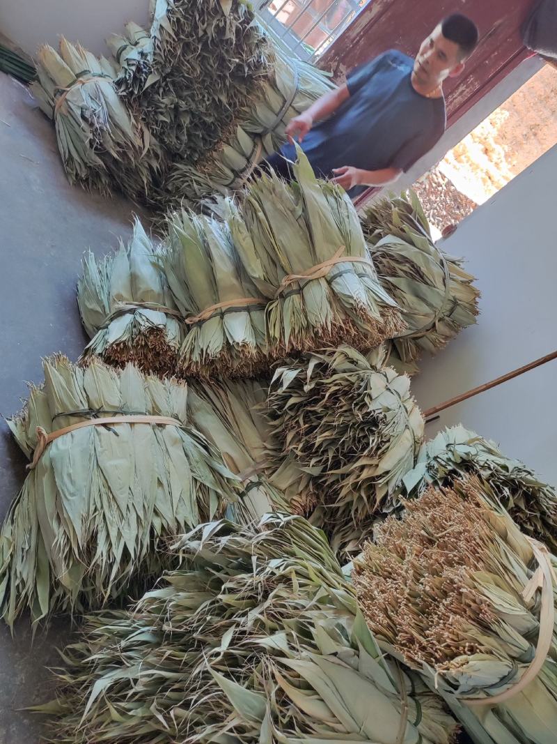 粽叶，新叶叶子非常的好