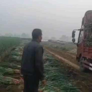 精品长白