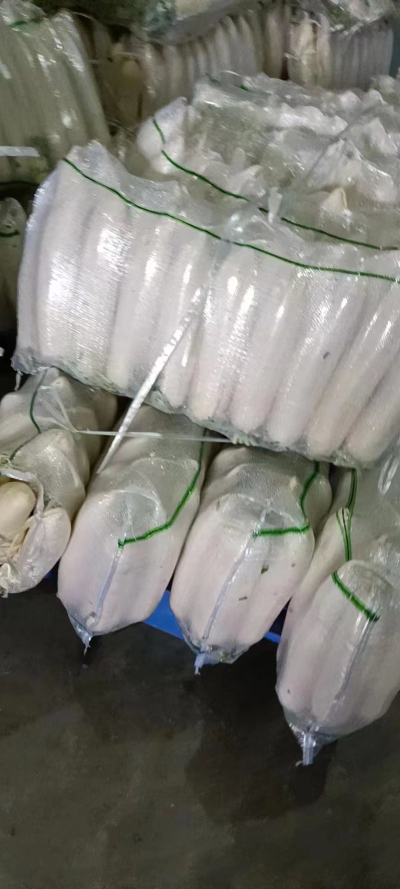 大量白萝卜上市啦，基地大量有货，产地直发，量大从优，