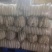 【推荐】白萝卜大量上市啦！有需要的可以联系我，产地直发