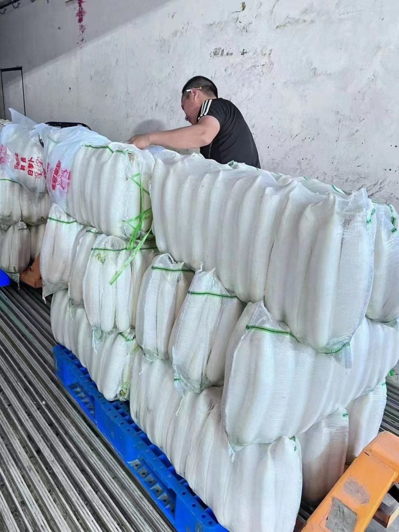 【推荐】白萝卜大量上市啦！有需要的可以联系我，产地直发