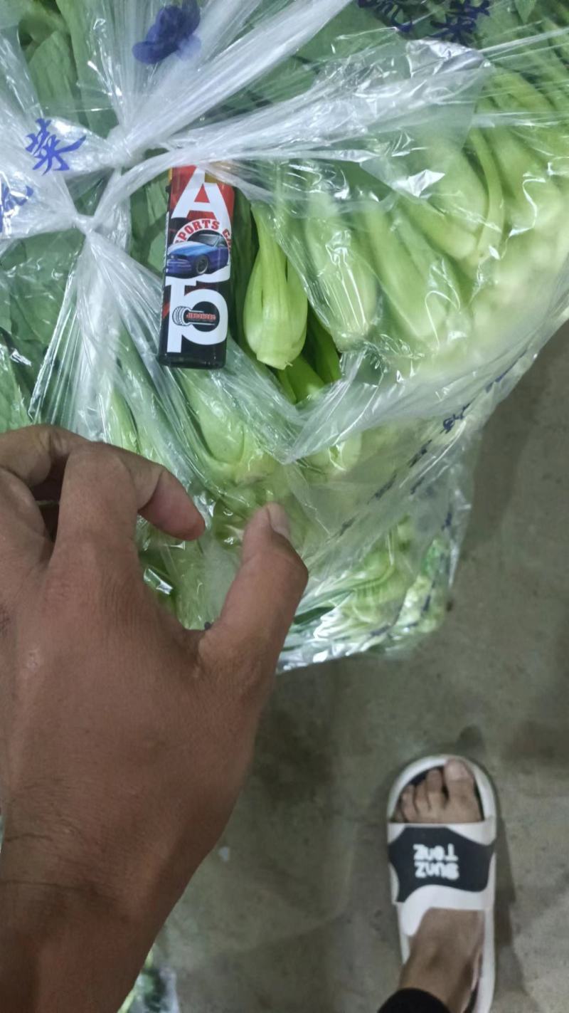 小青菜