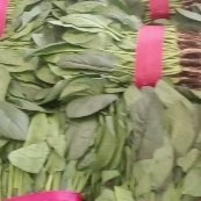 菠菜大量上市了