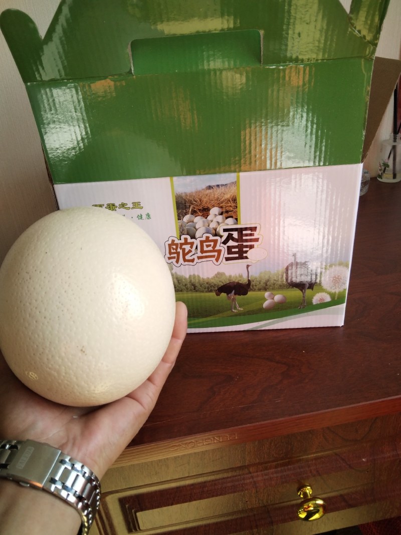 精品鸵鸟蛋，量大从优，欢迎来电咨询，现货现发。