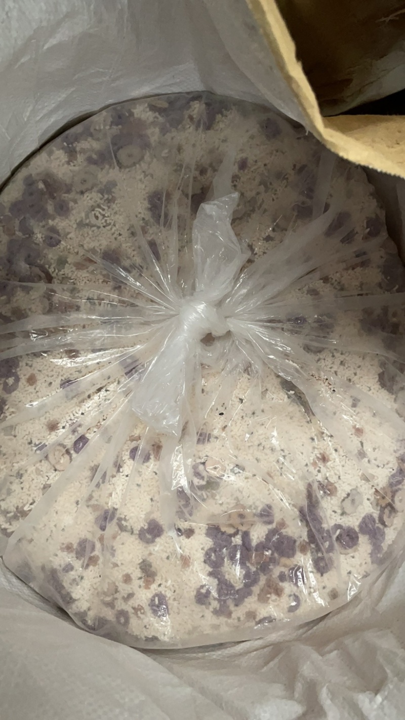 坚果藕粉散装藕粉罐装藕粉配料坚果多美味营养
