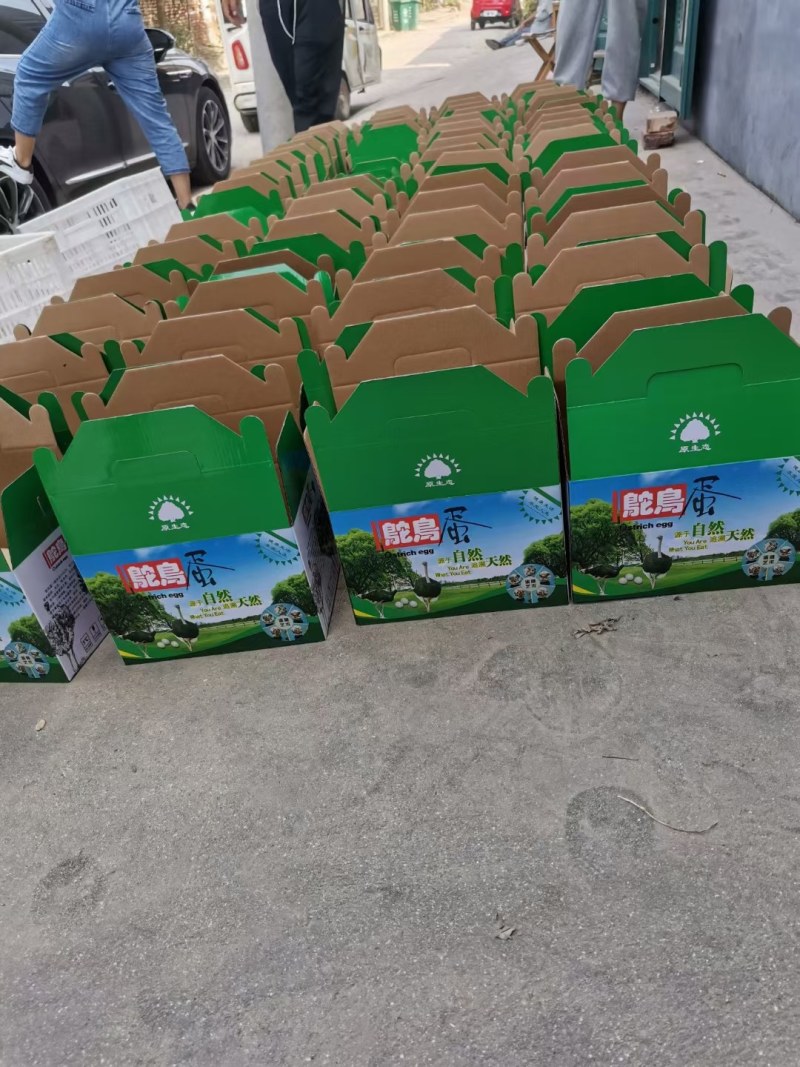 【牛商推荐】精品鸵鸟蛋，全国包邮，量大从优，欢迎来电。