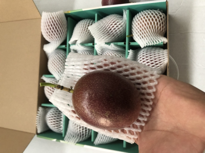 百香果-次果-加工果-电商-商超-市场