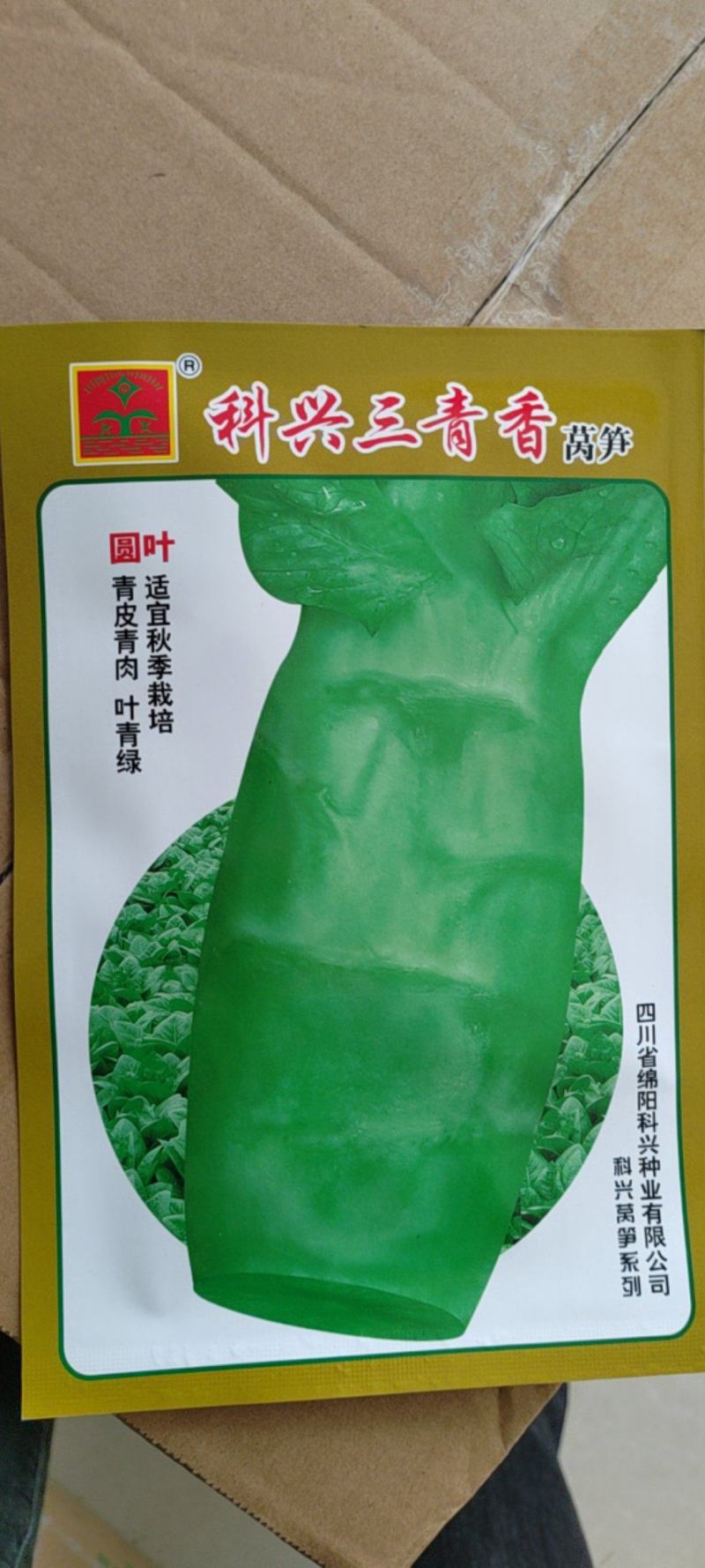 圆叶三青竹筒青莴笋种子莴苣种子科兴青冠一品(30g)
