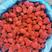 速冻草莓，品种，红颜，甜查理，美十三，腌制品种，全明星