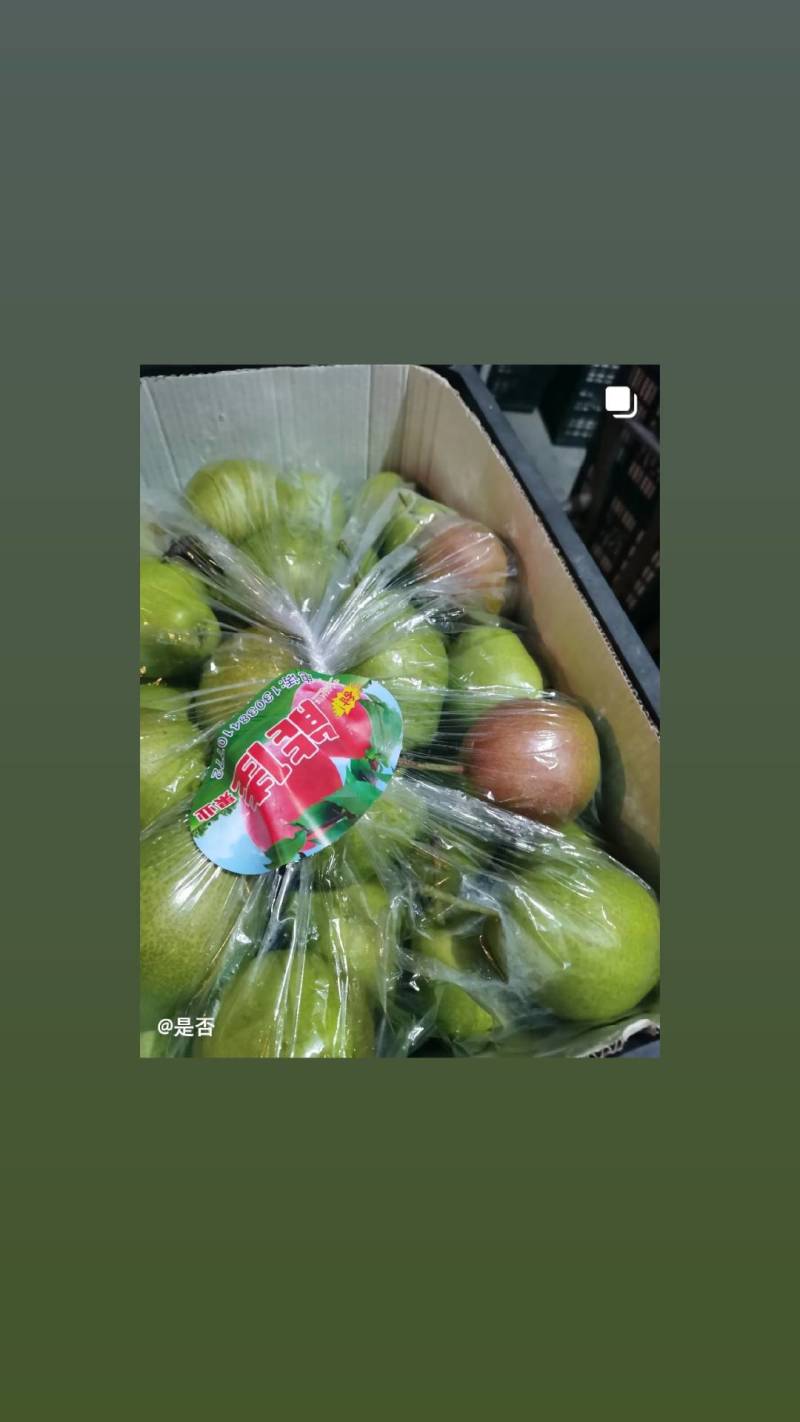 晚熟红富士苹果，大量上市，有意者请联系我