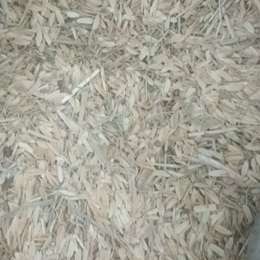 稻壳+米嘴，