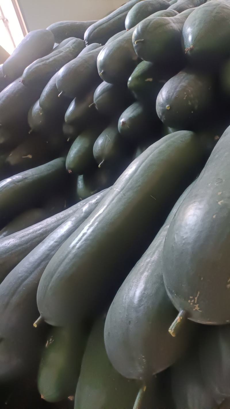 黑皮铁心冬瓜
