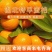 （牛商推荐）湖北高山早熟蜜桔产地直发！果园看货现场採摘。