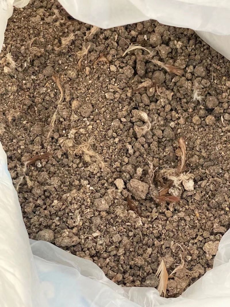 干鸡粪.发酵羊粪.肥水大量现货。瓜果蔬菜苗木的朋友