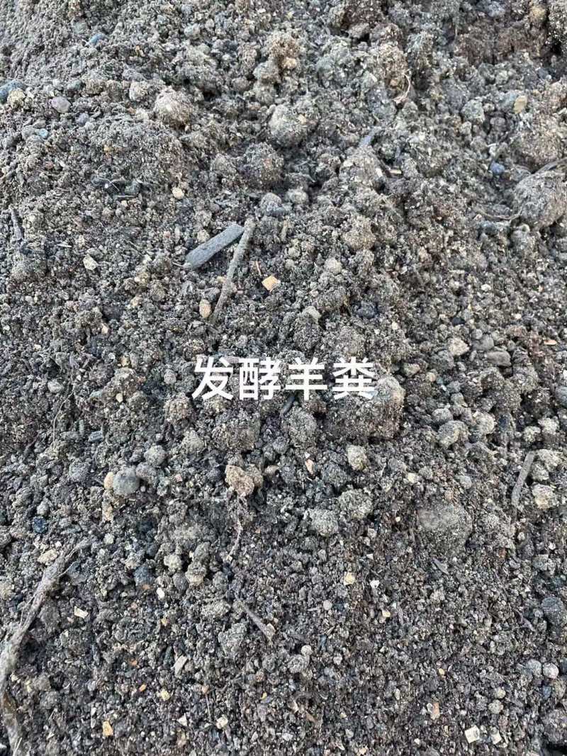 干鸡粪.发酵羊粪.肥水大量现货。瓜果蔬菜苗木的朋友
