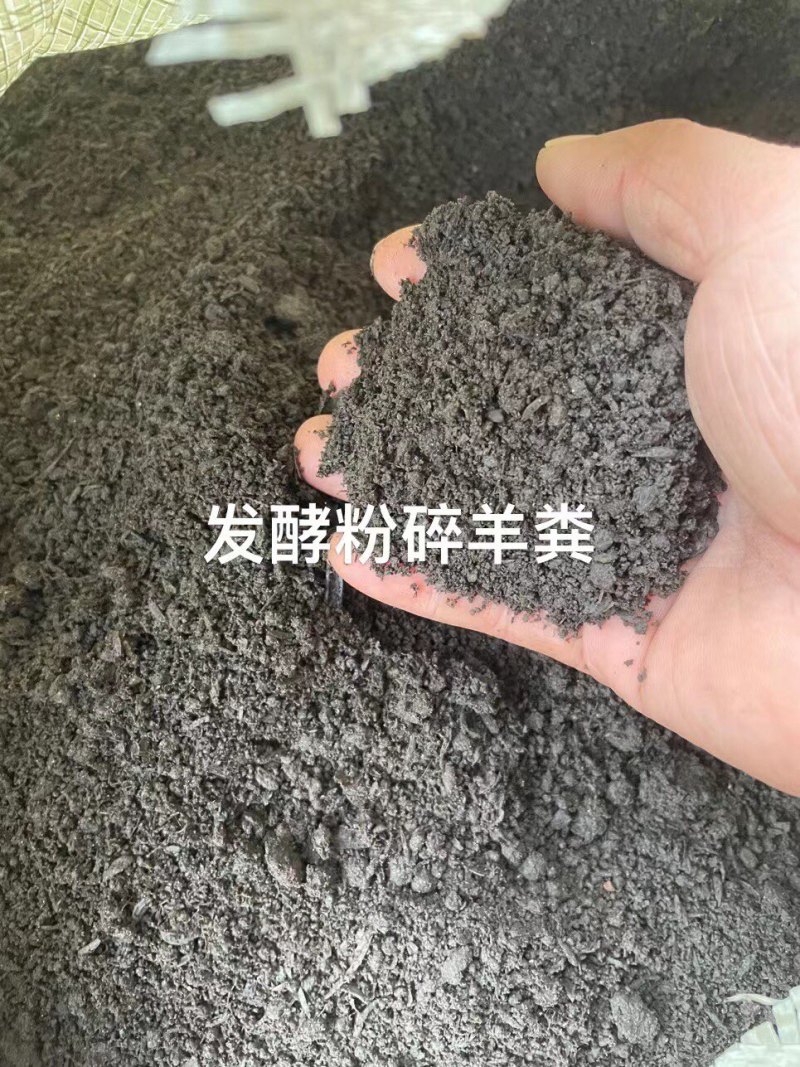 干鸡粪.发酵羊粪.肥水大量现货。瓜果蔬菜苗木的朋友