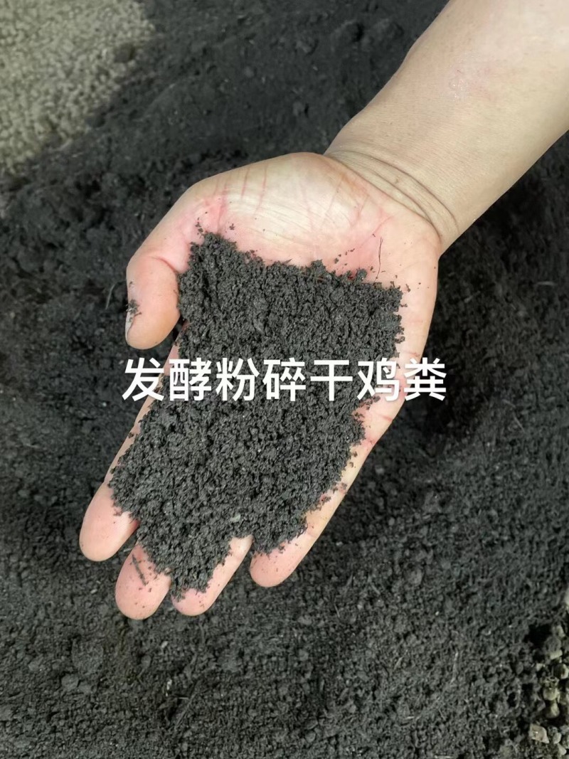 干鸡粪.发酵羊粪.肥水大量现货。瓜果蔬菜苗木的朋友