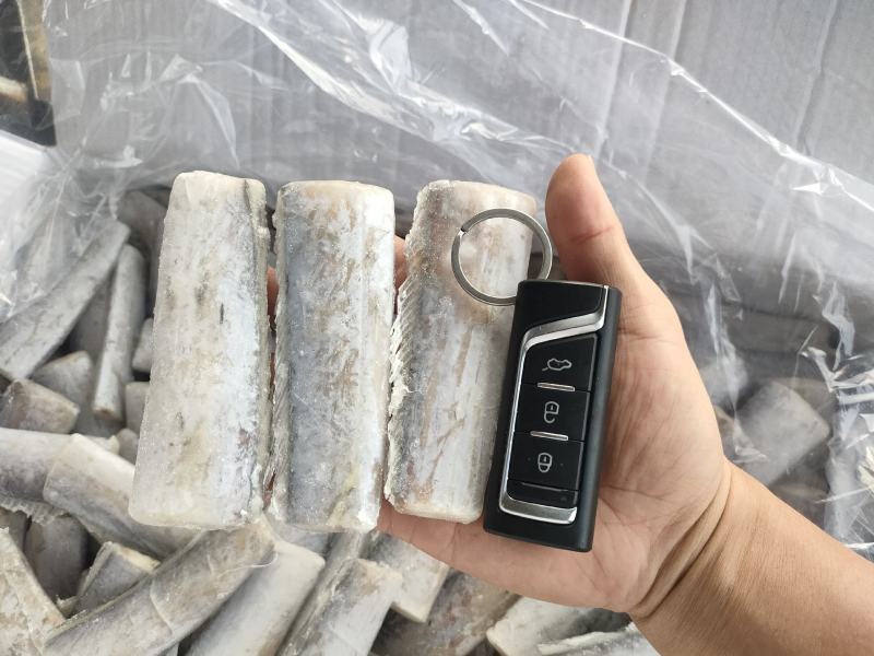 带鱼段中后段舟山带鱼散装带鱼段工厂直发