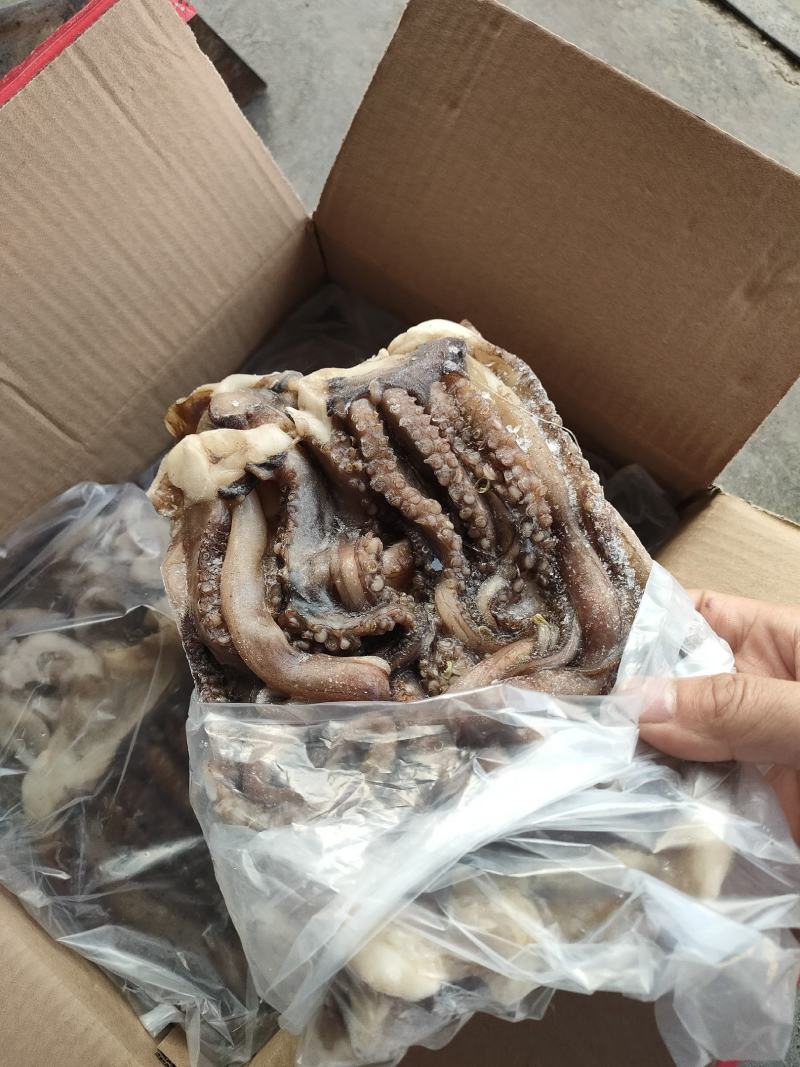 鱿鱼须鱿鱼鱿鱼头二本足6板装工厂直发