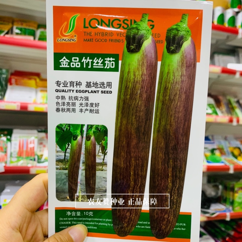 龙盛金品竹丝茄早熟高产茄子种子长棒型茄子专业育种