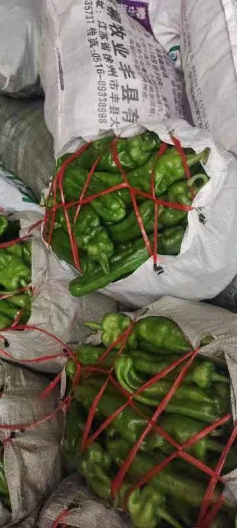 【推荐】安徽砀山薄皮辣椒产地发货到货无忧足斤足两欢迎订购