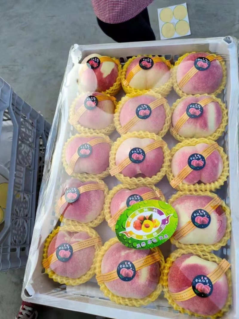 红桃金秋红蜜