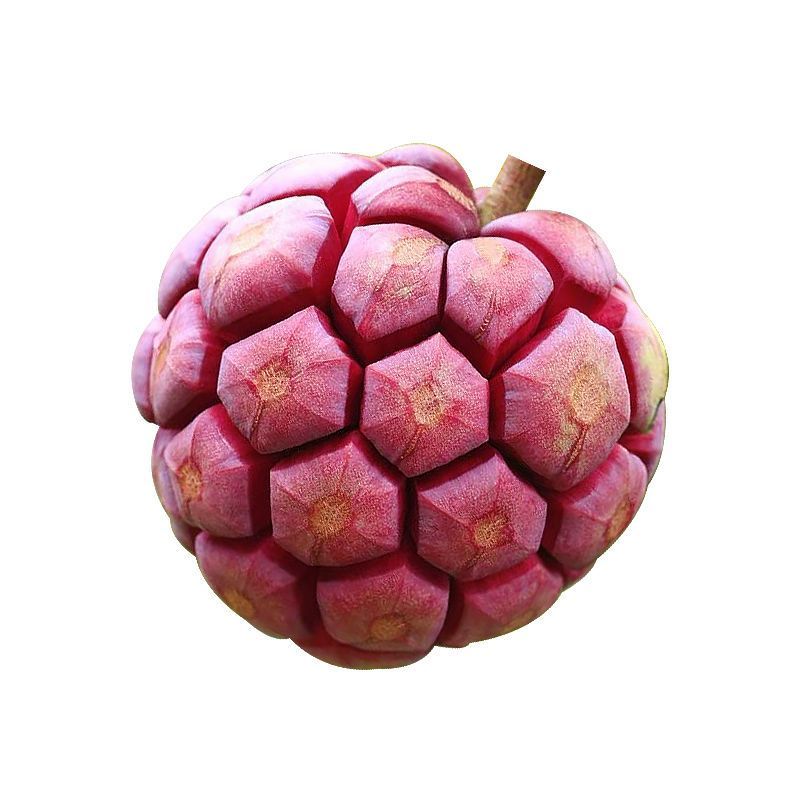 黑老虎