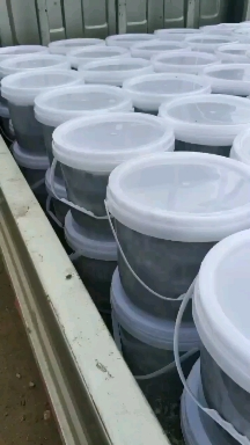 臭豆腐现货供应，价格优惠，欢迎各位老板前来选购