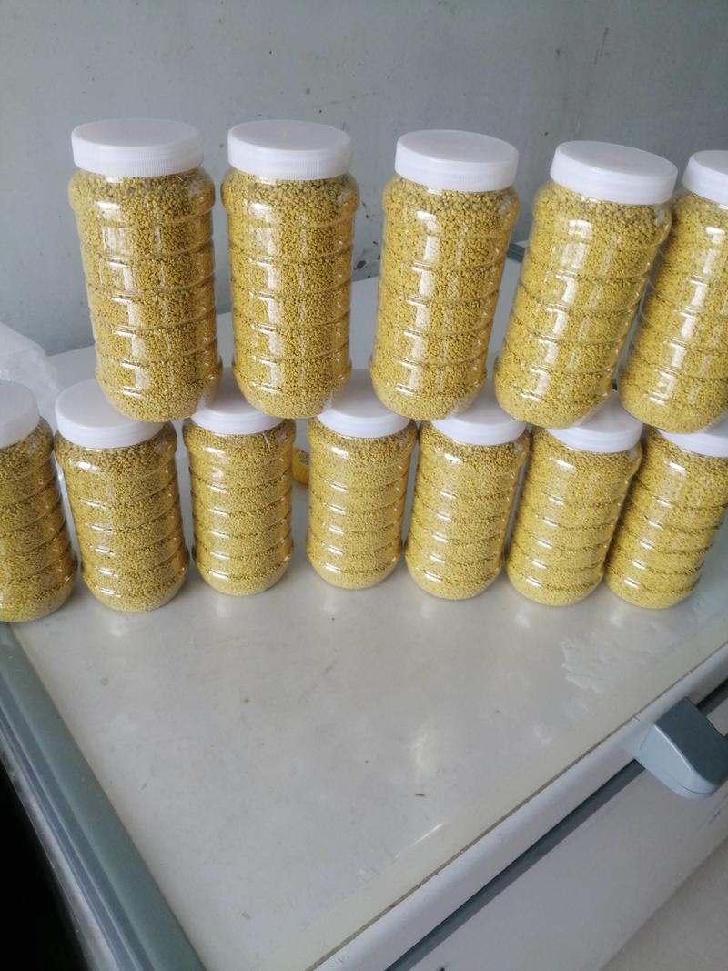 油菜花粉纯净无杂质新鲜蜂农自产每瓶500克。一斤起包邮。