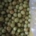 广西平南县大玉牛甘果大量上市中，保质保量。