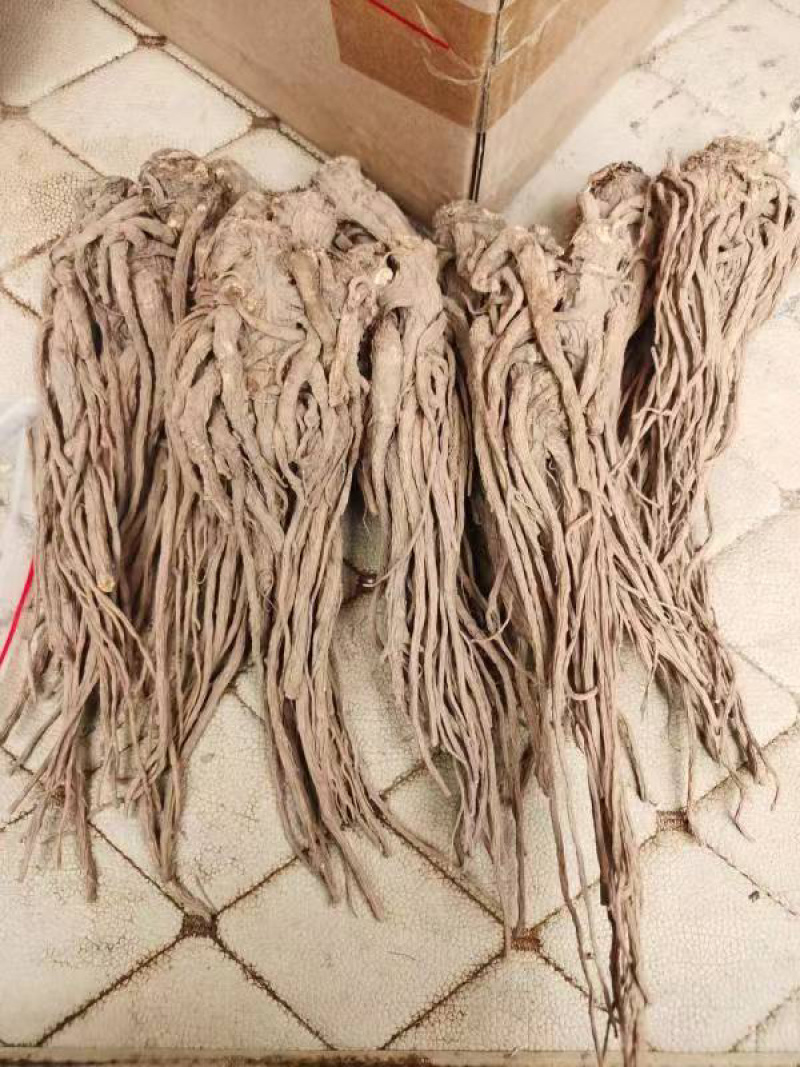甘肃当归个子优质当归条无硫一手货源量足价格美