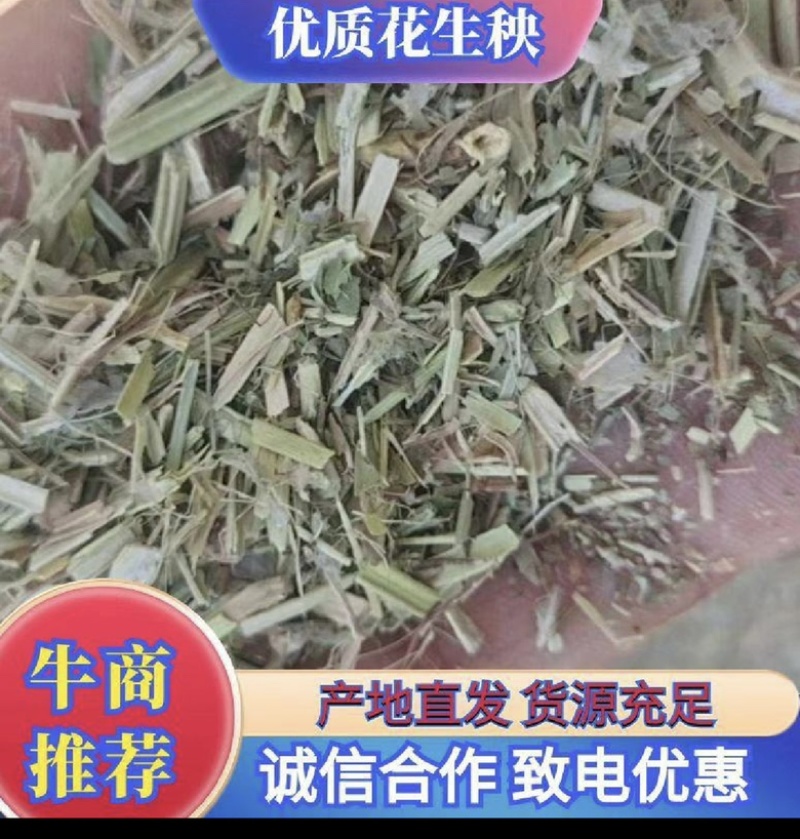 河南花生秧，常年批发花生秧，无土无膜货源充足量大质量保证