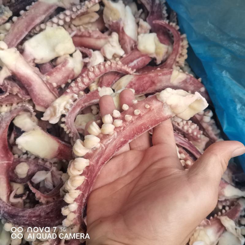章鱼足，章鱼海鲜水产