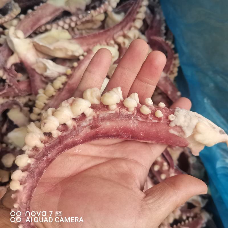 章鱼足，章鱼海鲜水产
