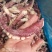 章鱼足，章鱼海鲜水产